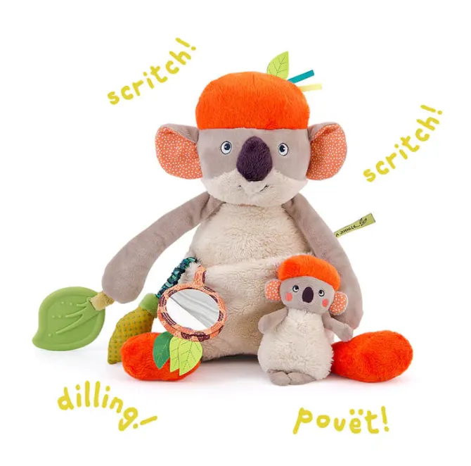 Koala peluche attività