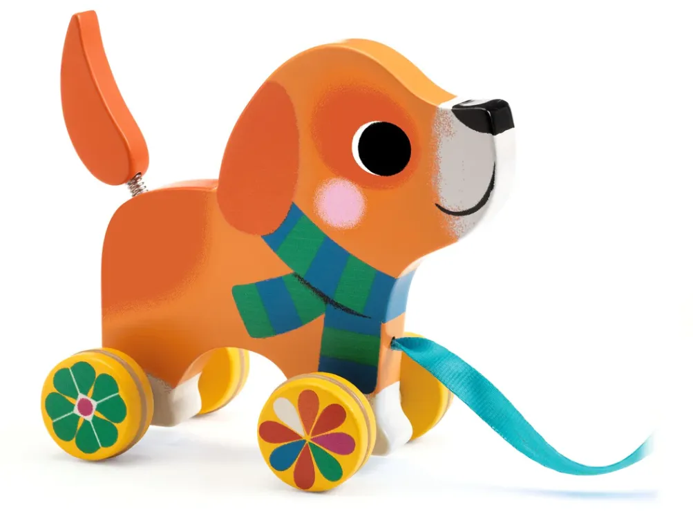 Cane Lou gioco da traino