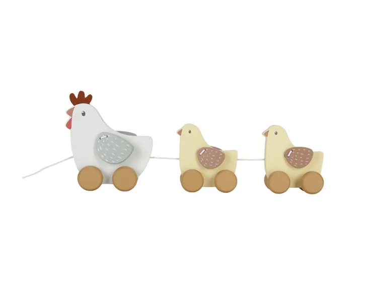 Gallina e pulcini trainabili