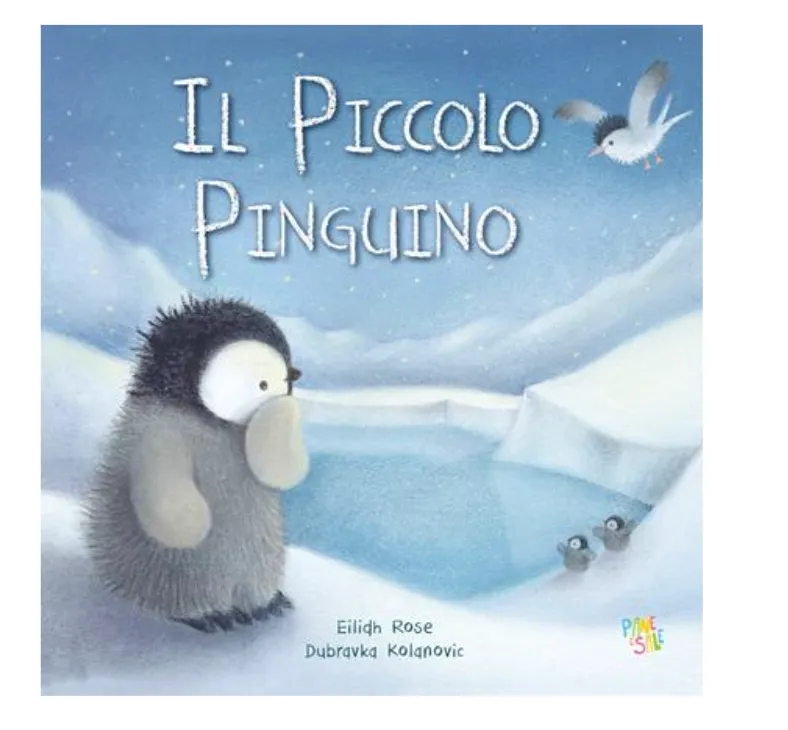 Il piccolo pinguino