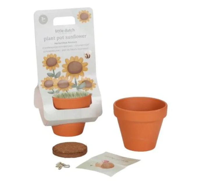 Vaso per piante con semi - Girasole