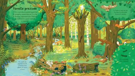 La foresta