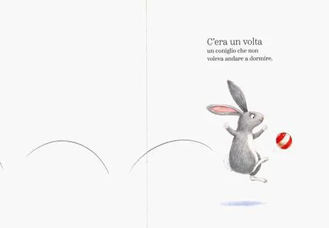 Il coniglio, il buio e la scatola di biscotti