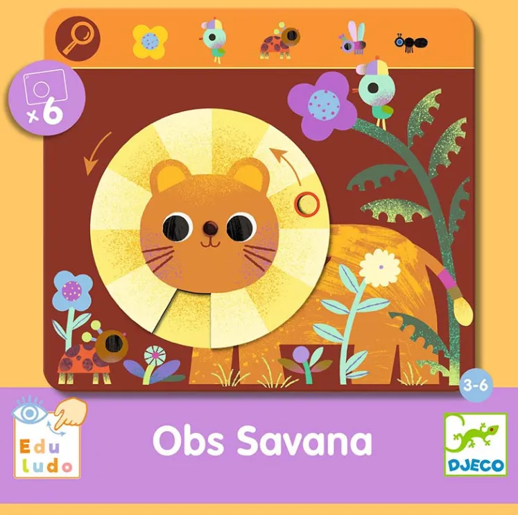 Gioco cerca trova OBS - Savana