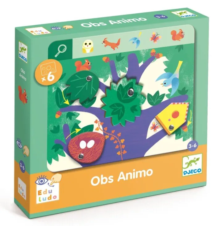 Gioco cerca trova OBS - Animo