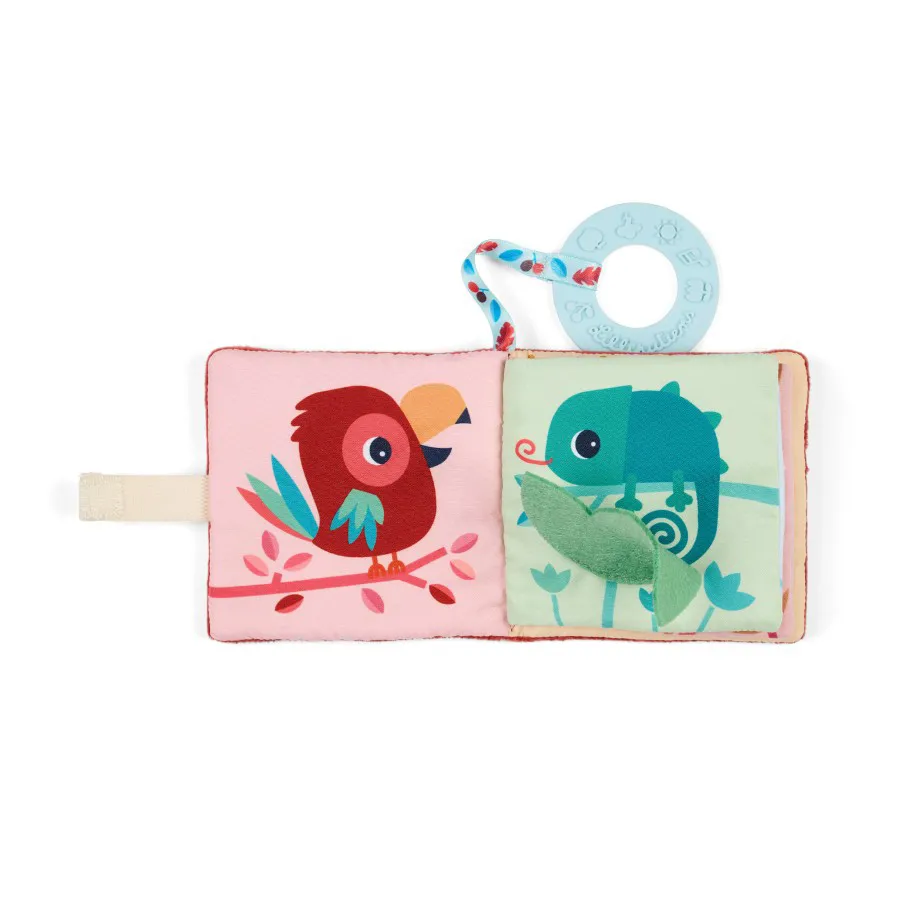 Giocolibro Jack il leone