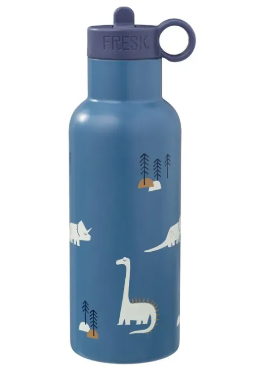 Borraccia Thermos Dinosauri 500 ml