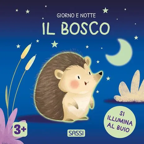 Il bosco. Giorno e notte