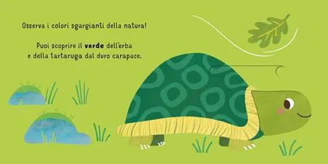 I colori. Scorri e scopri