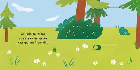 Il bosco. Scorri e scopri