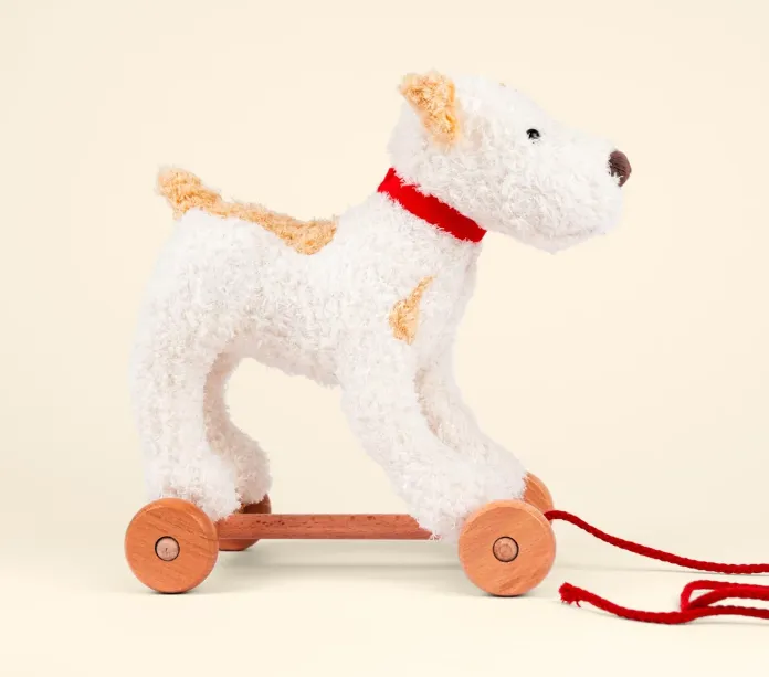 Eliot, il cane da trainare