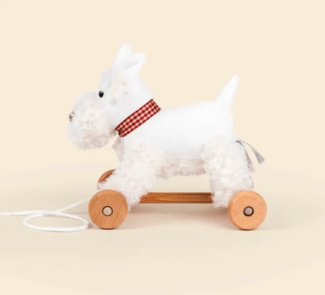 Lola, il cane da trainare